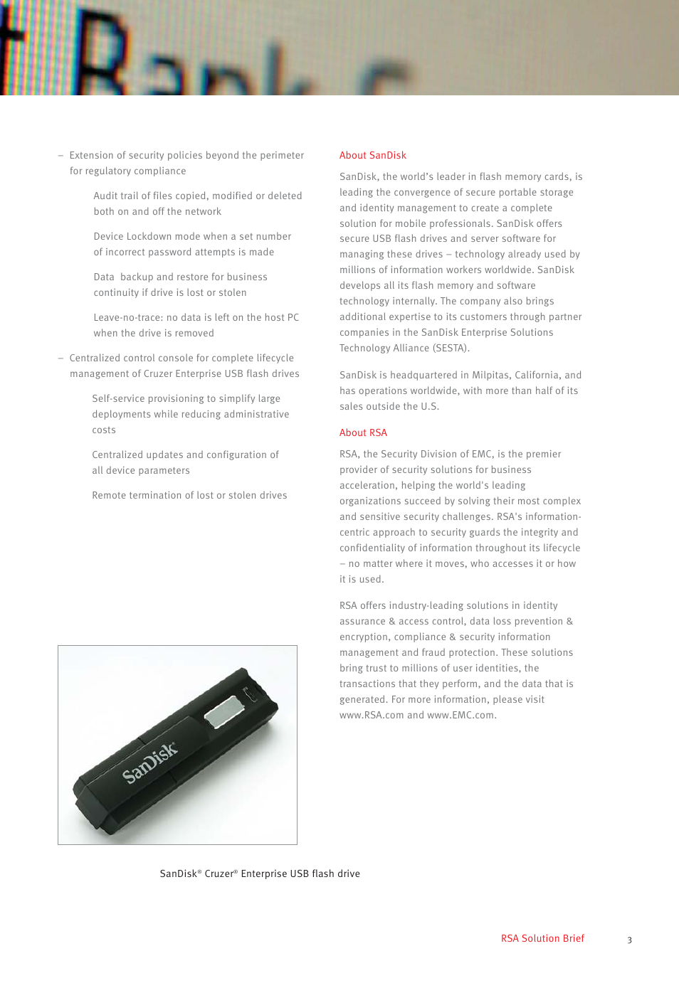 RSA Security SanDisk Cruzer User Manual | Page 3 / 4