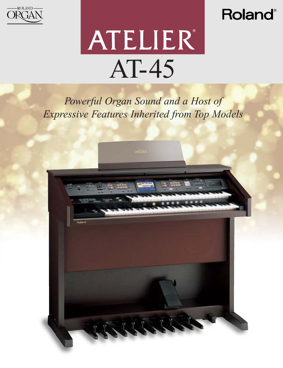 Roland AT-45 User Manual | 3 pages