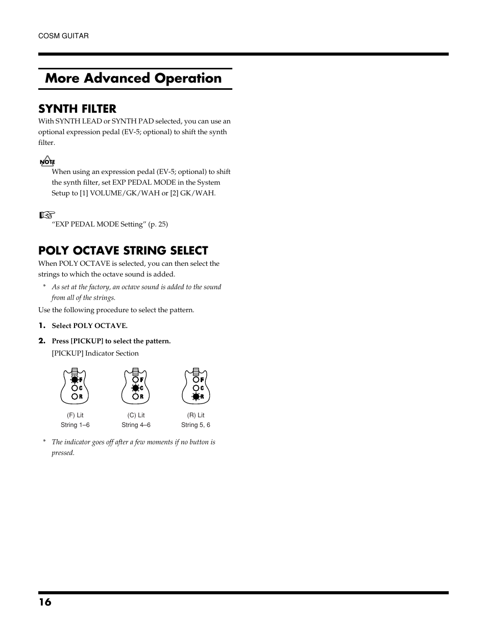 More advanced operation, Synth filter, Poly octave string select | Roland VGA-3 User Manual | Page 16 / 36