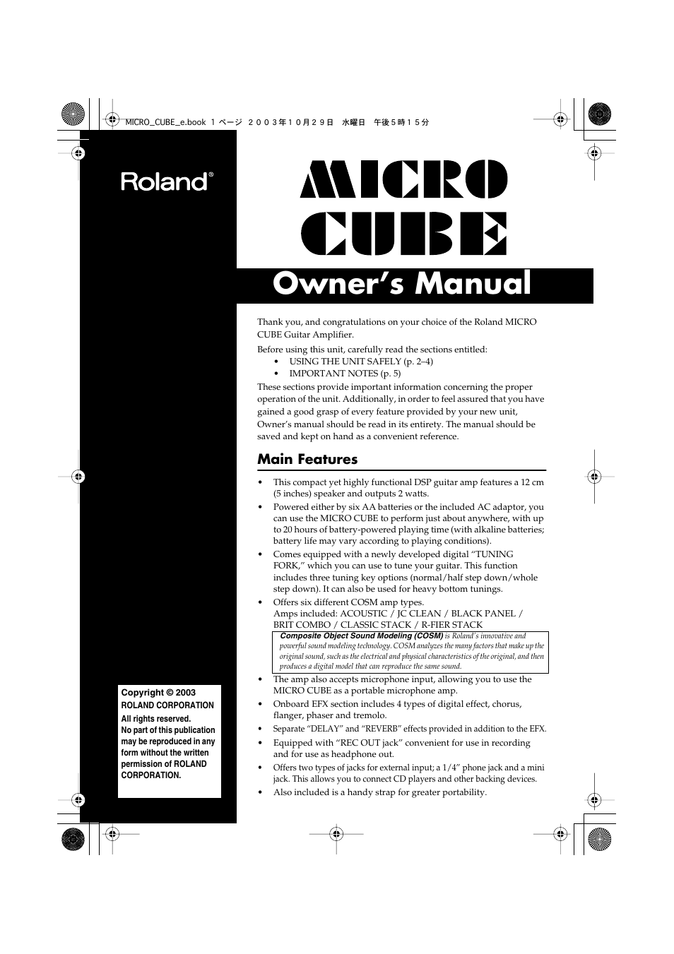 Roland MICRO CUBE Guitar Amplifier User Manual | 12 pages