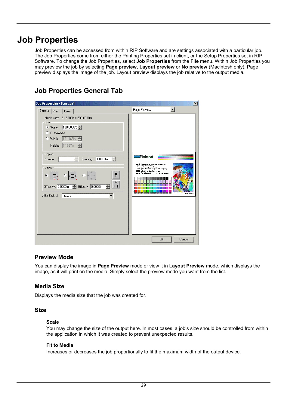 Job properties, Job properties general tab, Preview mode | Media size, Size | Roland ColorChoice  Ver. 4.5 User Manual | Page 29 / 52
