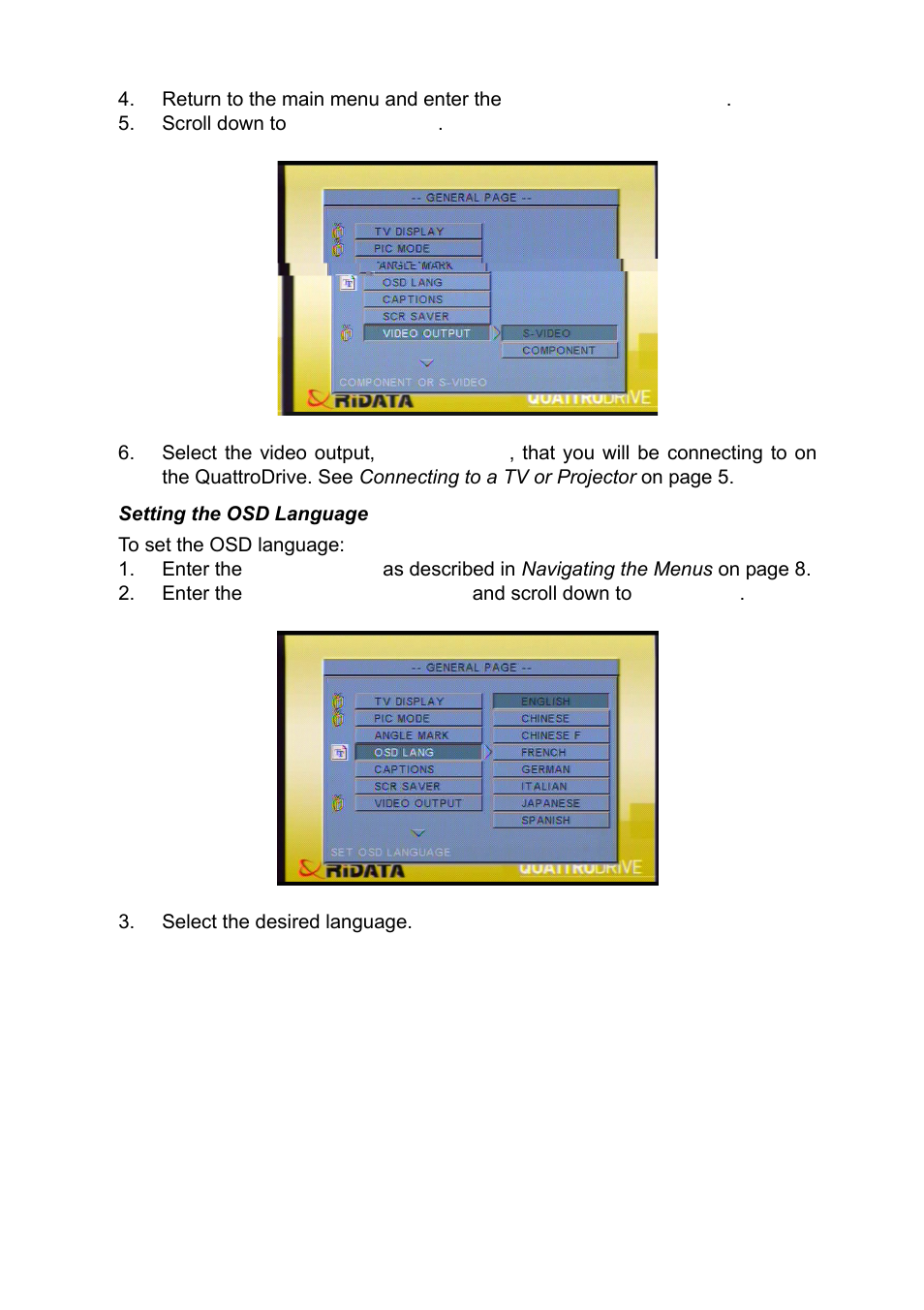 Setting the osd language | Ritek QuattroDrive User Manual | Page 14 / 33