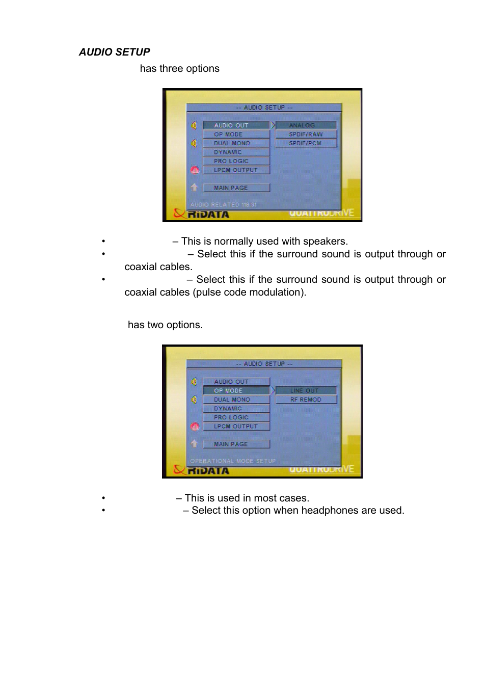 Audio setup | Ritek QuattroDrive User Manual | Page 17 / 33