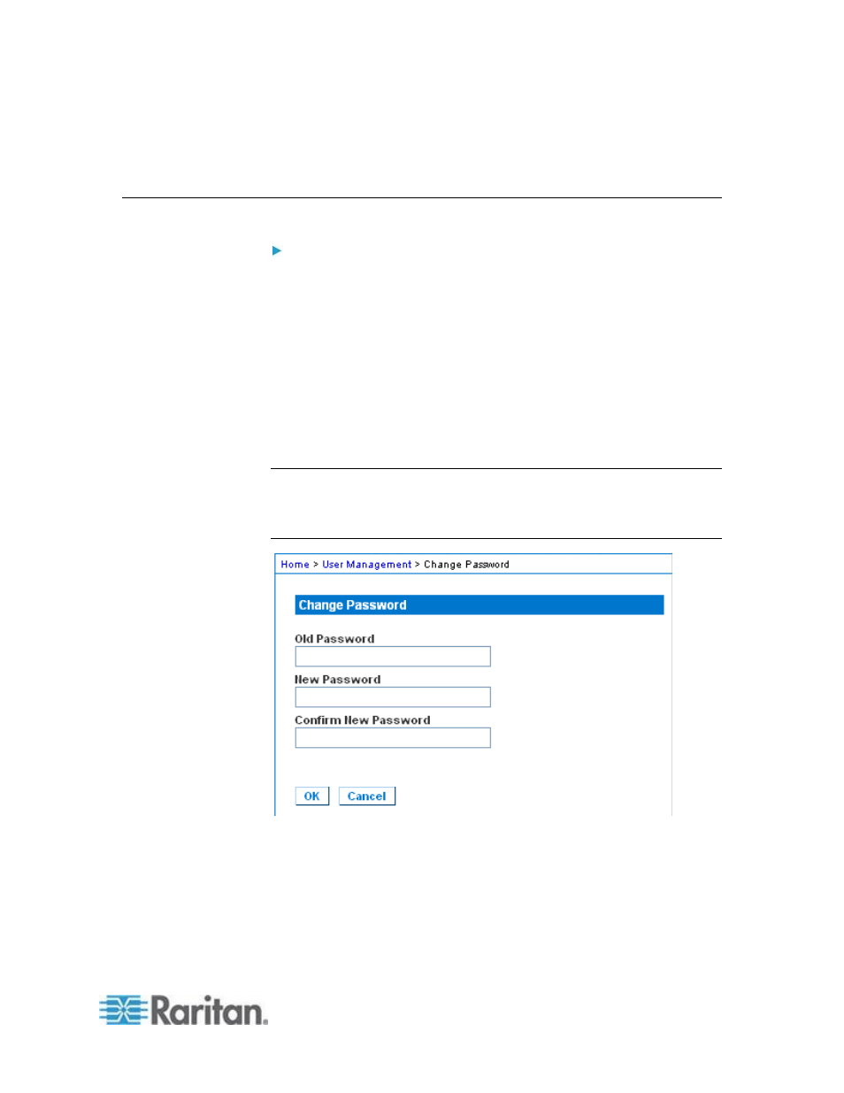 Changing a password | Raritan Computer DOMINION KSX II User Manual | Page 145 / 362