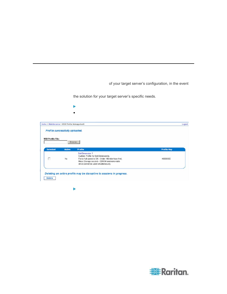 Usb profile management | Raritan Computer DOMINION KSX II User Manual | Page 220 / 362