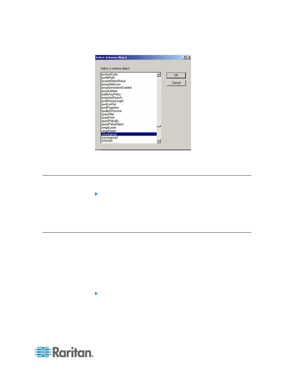 Updating the schema cache, Editing rciusergroup attributes for user members | Raritan Computer DOMINION KSX II User Manual | Page 309 / 362