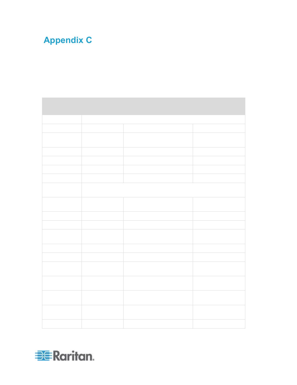 User group privileges, Appendix c user group privileges | Raritan Computer CCA-0N-V5.1-E User Manual | Page 375 / 420