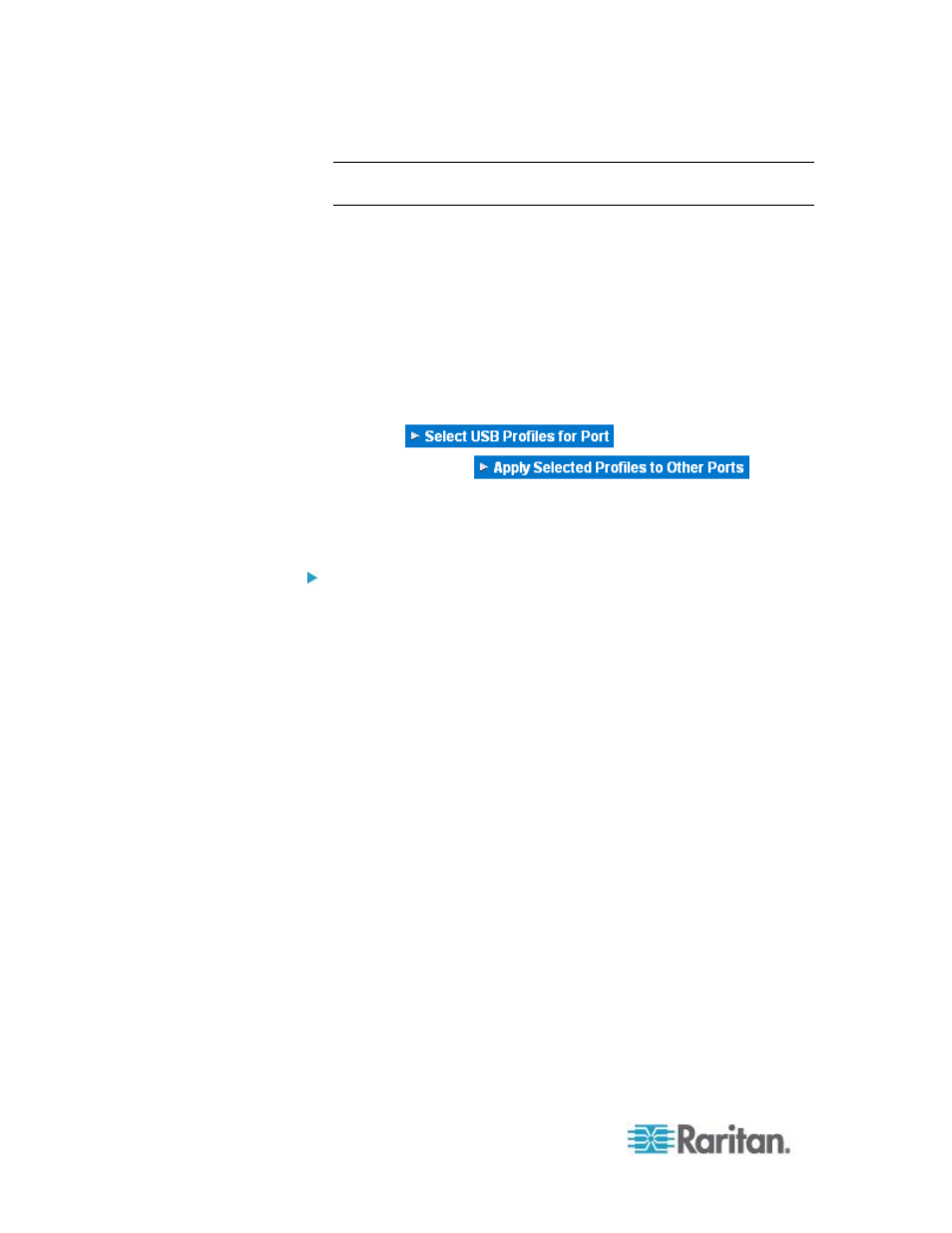 Raritan Computer DKSXII-V2.3.0-0D-E User Manual | Page 180 / 362