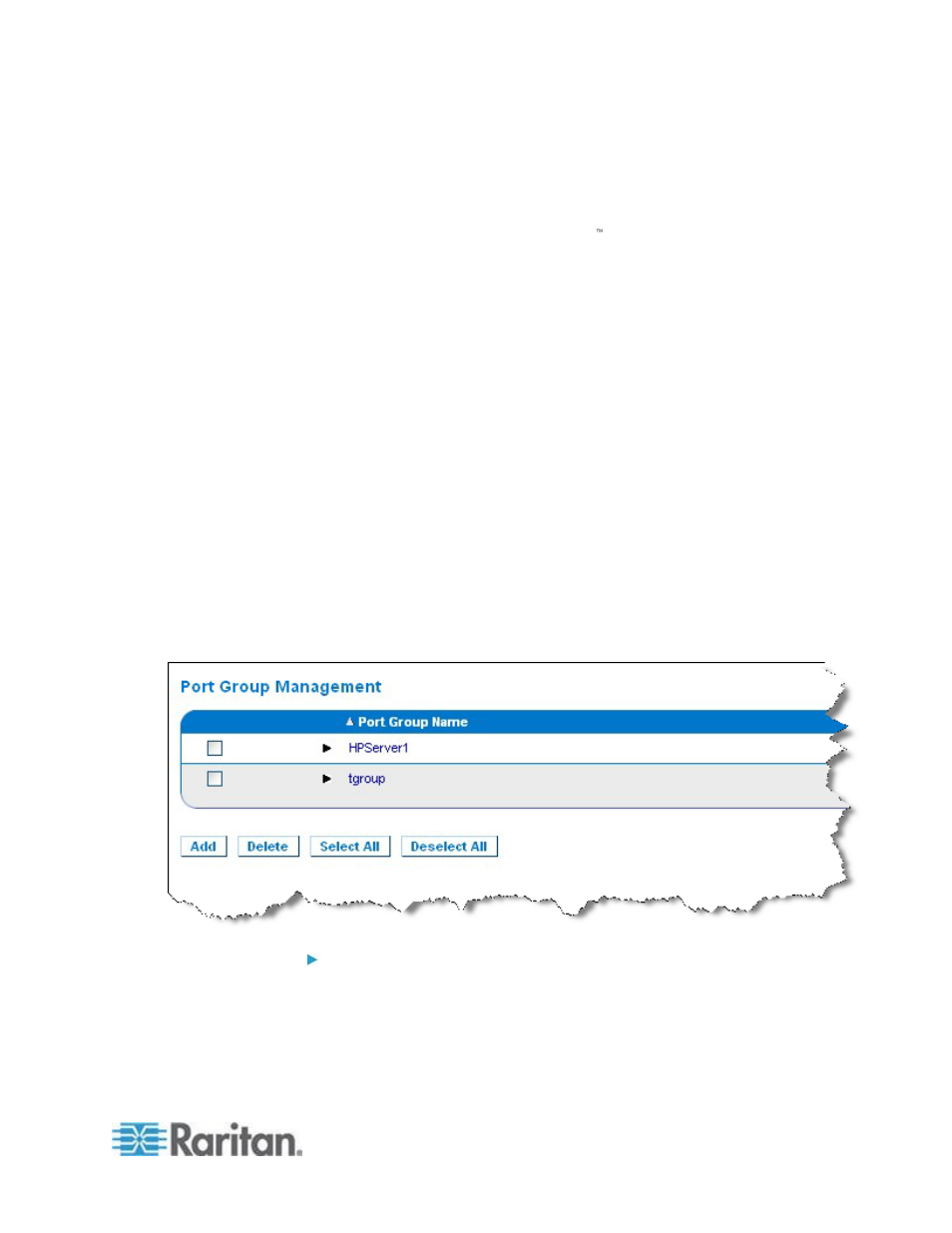 Raritan Computer DKSXII-V2.3.0-0D-E User Manual | Page 183 / 362