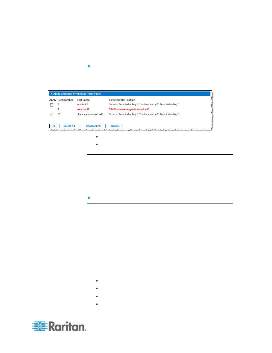 Raritan Computer DKSXII-V2.3.0-0D-E User Manual | Page 193 / 362