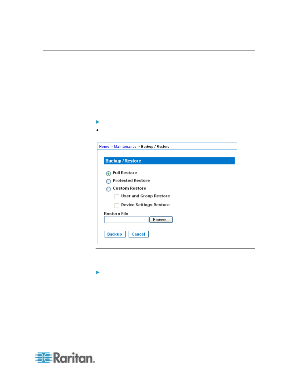 Backup and restore | Raritan Computer DKSXII-V2.3.0-0D-E User Manual | Page 217 / 362