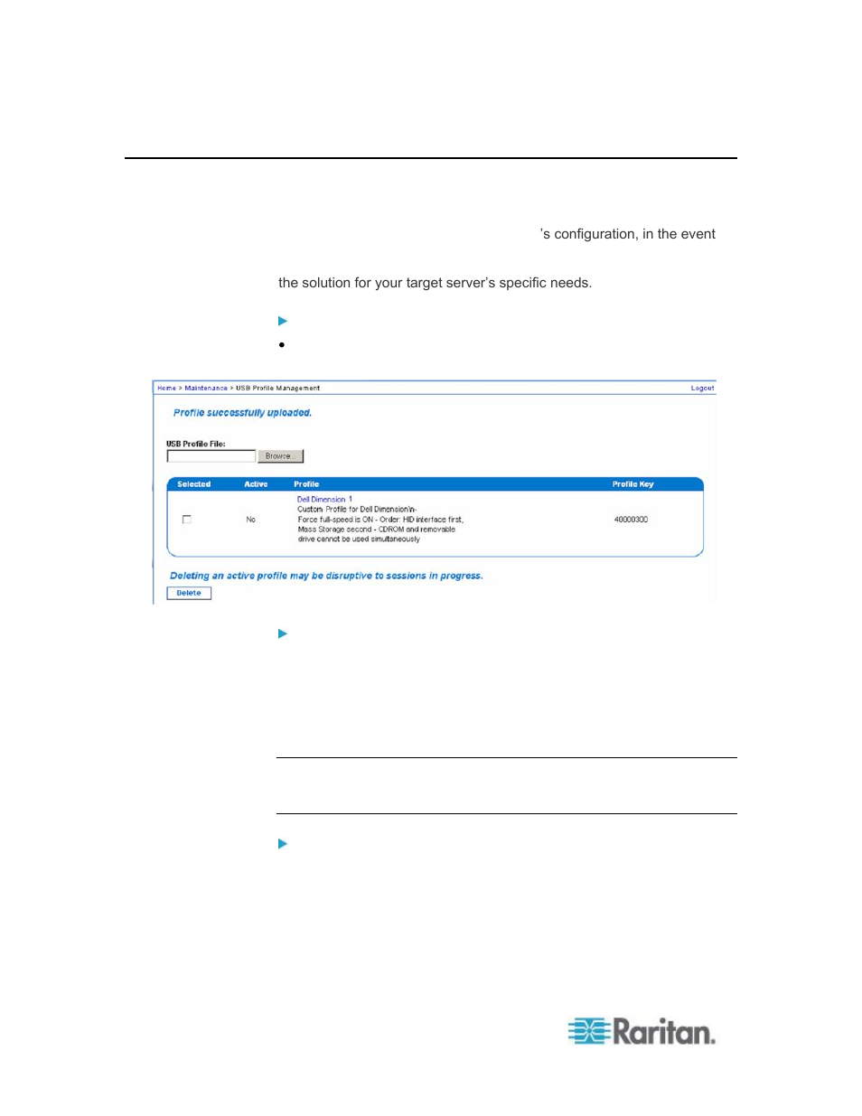 Usb profile management | Raritan Computer DKSXII-V2.3.0-0D-E User Manual | Page 220 / 362