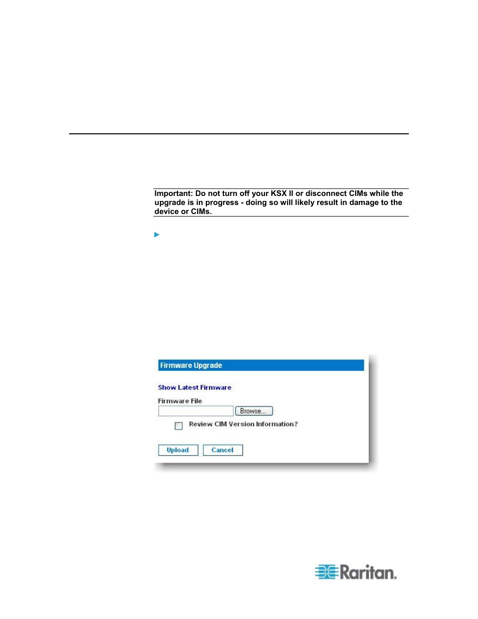 Upgrading firmware | Raritan Computer DKSXII-V2.3.0-0D-E User Manual | Page 222 / 362