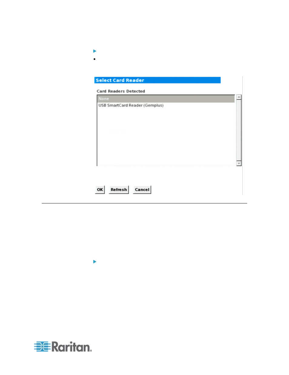 Local console usb profile options | Raritan Computer DKSXII-V2.3.0-0D-E User Manual | Page 253 / 362