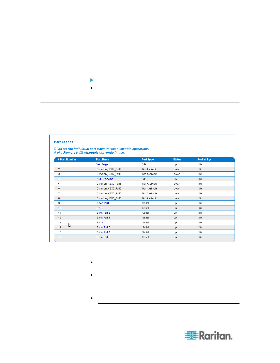 Server display | Raritan Computer DKSXII-V2.3.0-0D-E User Manual | Page 256 / 362