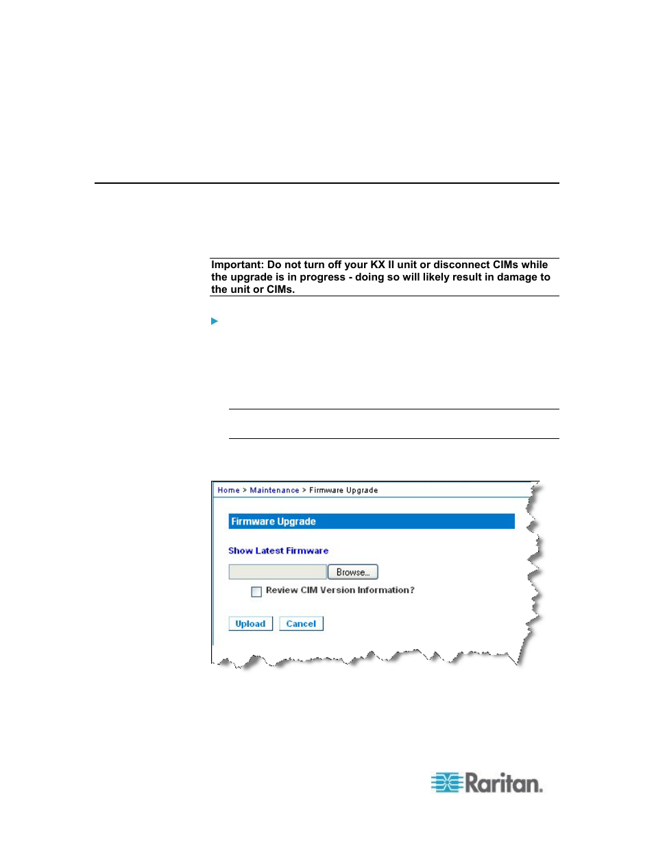 Upgrading firmware | Raritan Computer DKX2-V2.3.5-0N-E User Manual | Page 227 / 351