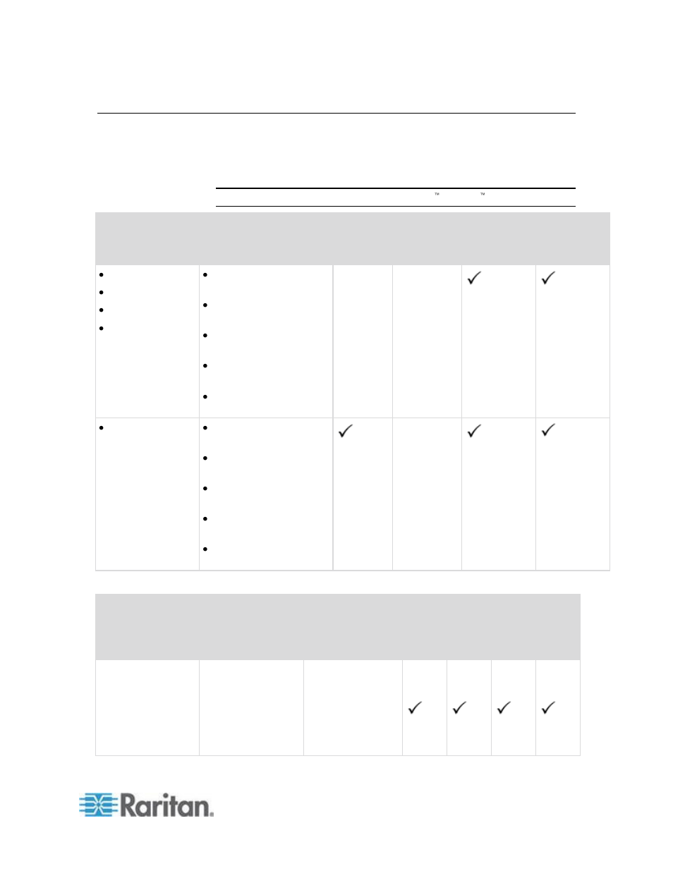 Raritan Computer DKX2-V2.3.5-0N-E User Manual | Page 276 / 351