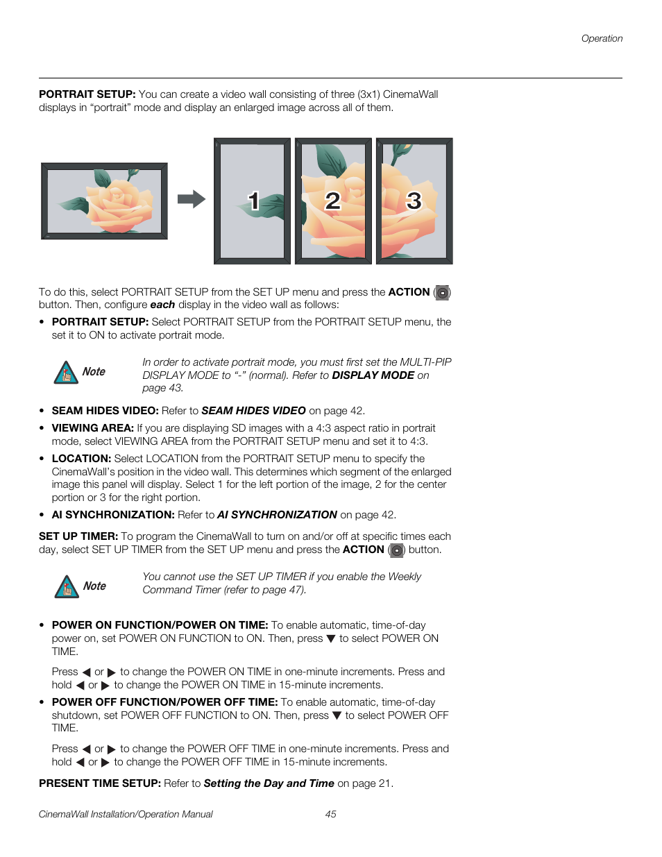 Portrait setup, Set up timer, Present time setup | Pre l iminar y | Runco CINEMAWALL XP-OPAL65 User Manual | Page 59 / 86