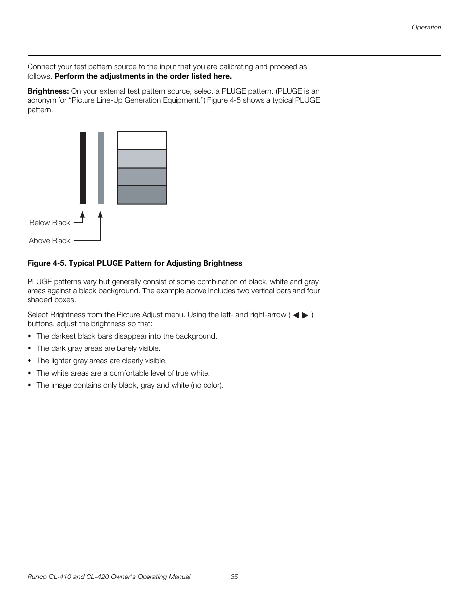 Brightness, 5. typical pluge pattern for adjusting brightness | Runco Reflection User Manual | Page 45 / 72