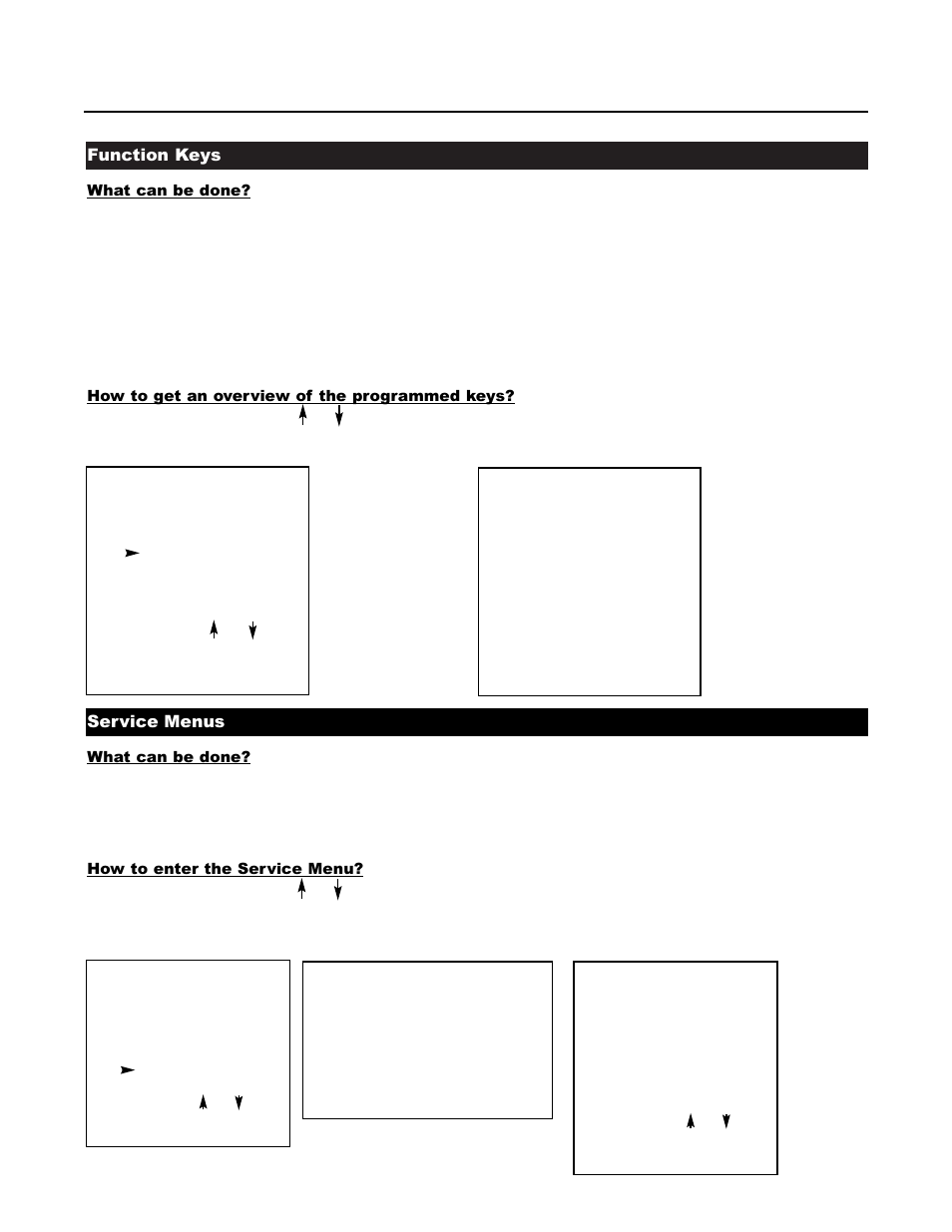 Function keys, Service menus | Runco DTV-1200 User Manual | Page 30 / 91