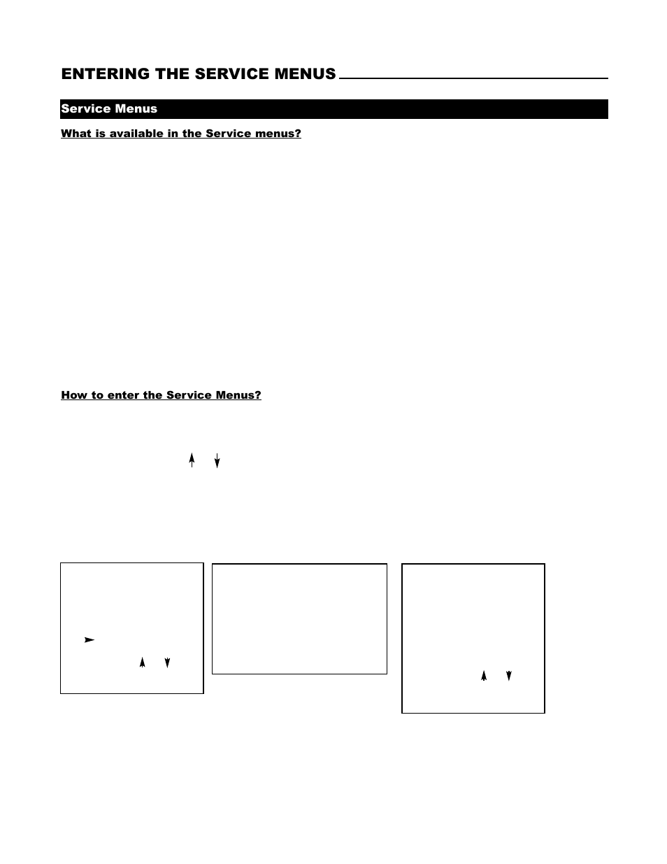 Entering the service menus, Service menus | Runco DTV-1200 User Manual | Page 31 / 91