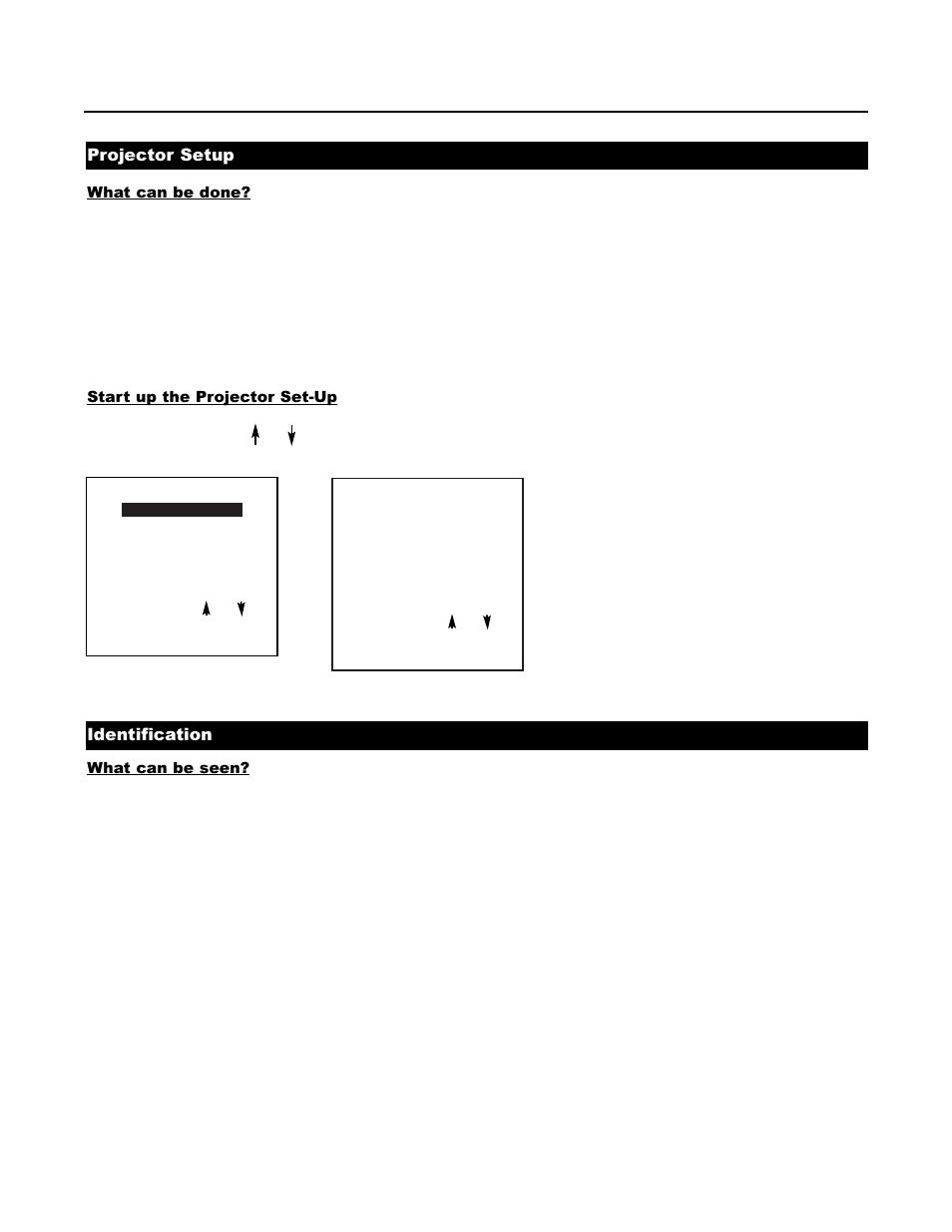 Projector setup, Identification | Runco DTV-1200 User Manual | Page 56 / 91
