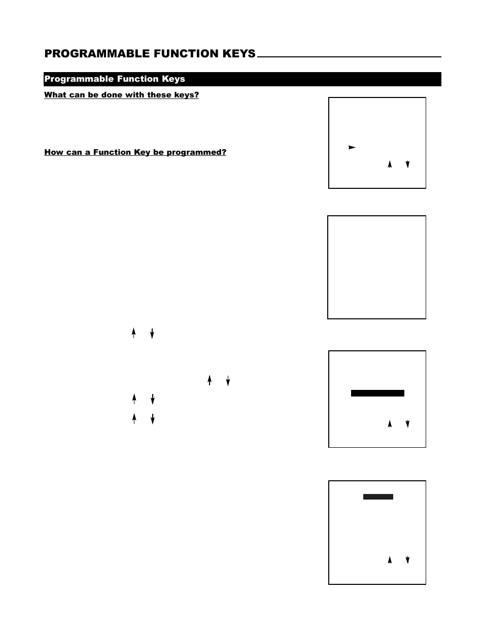 Programmable function keys | Runco DTV-1200 User Manual | Page 80 / 91