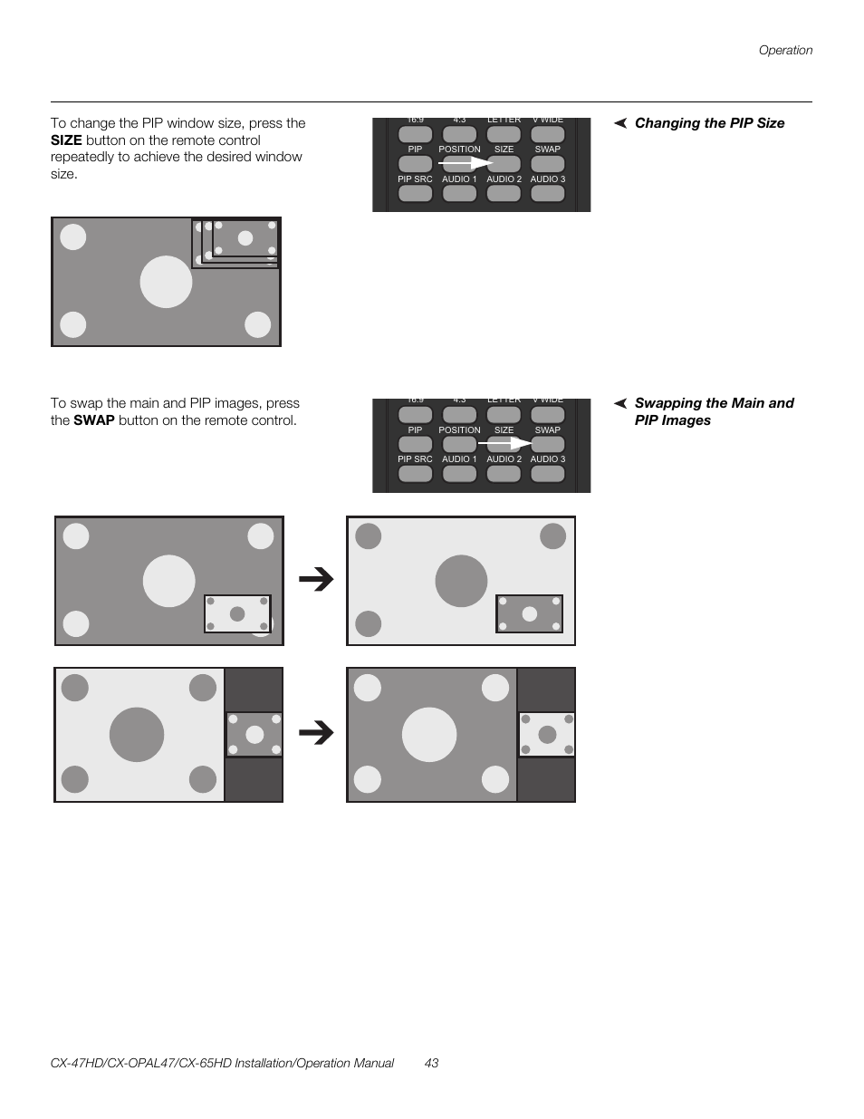 Changing the pip size, Swapping the main and pip images, Pre l iminar y | Runco CRYSTAL CX-OPAL47 User Manual | Page 57 / 76