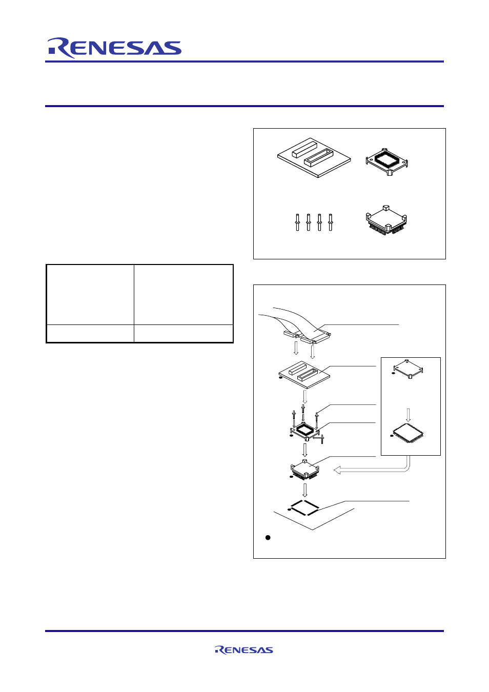 Renesas R0E0100TNPFJ00 User Manual | 4 pages