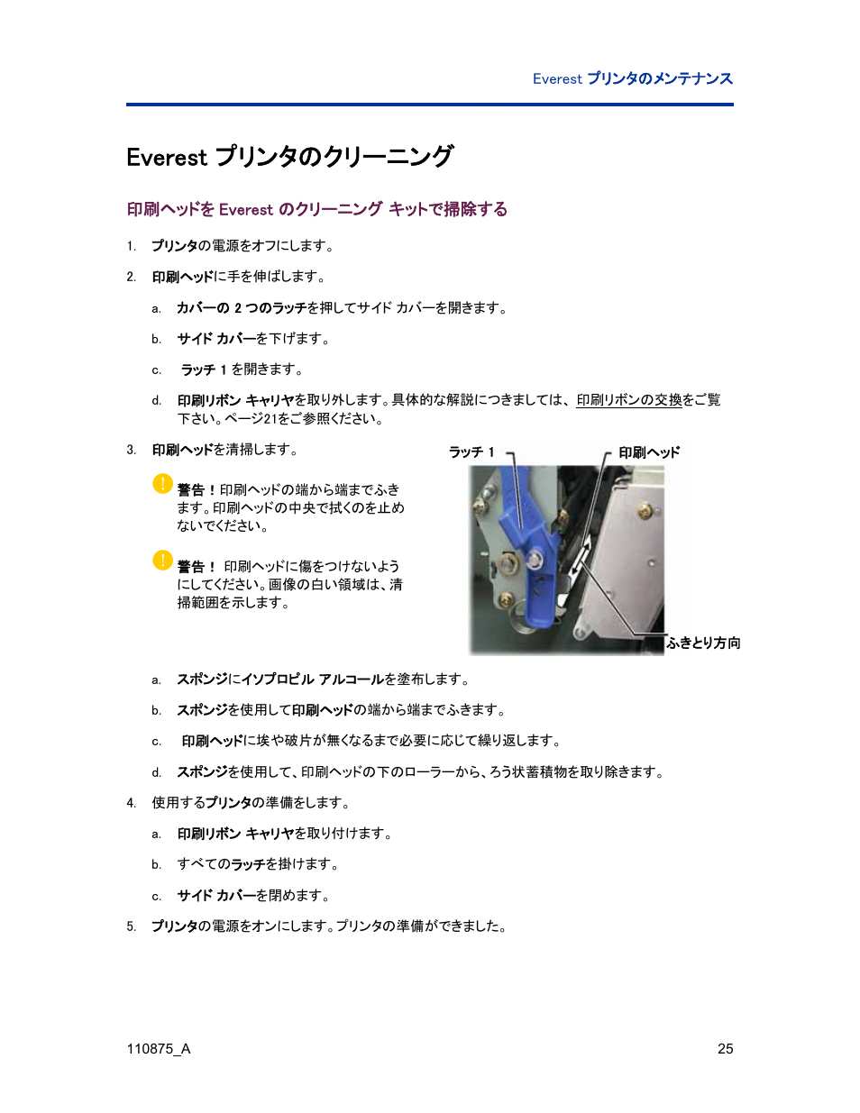 Everest プリンタのクリーニング, 印刷ヘッドをeverest のクリーニング キットで掃除する | Rimage Everest III User Manual | Page 113 / 246