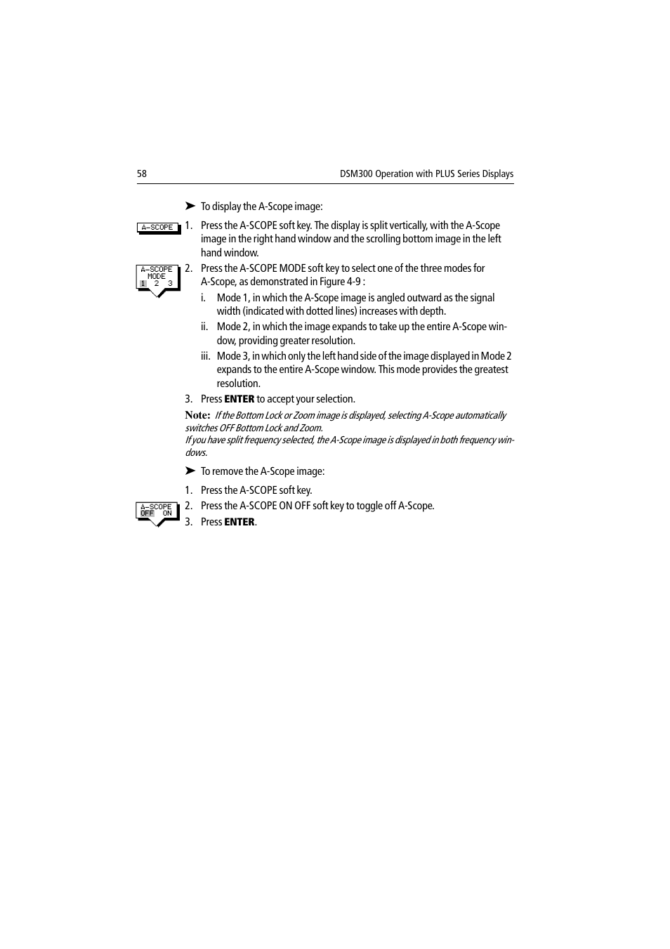 Raymarine DSM300 User Manual | Page 58 / 82