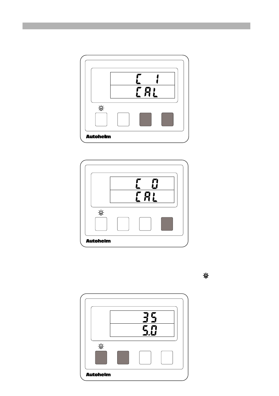 Bidata, Press speed and reset momentarily | Raymarine stand-alone master instrument User Manual | Page 39 / 45