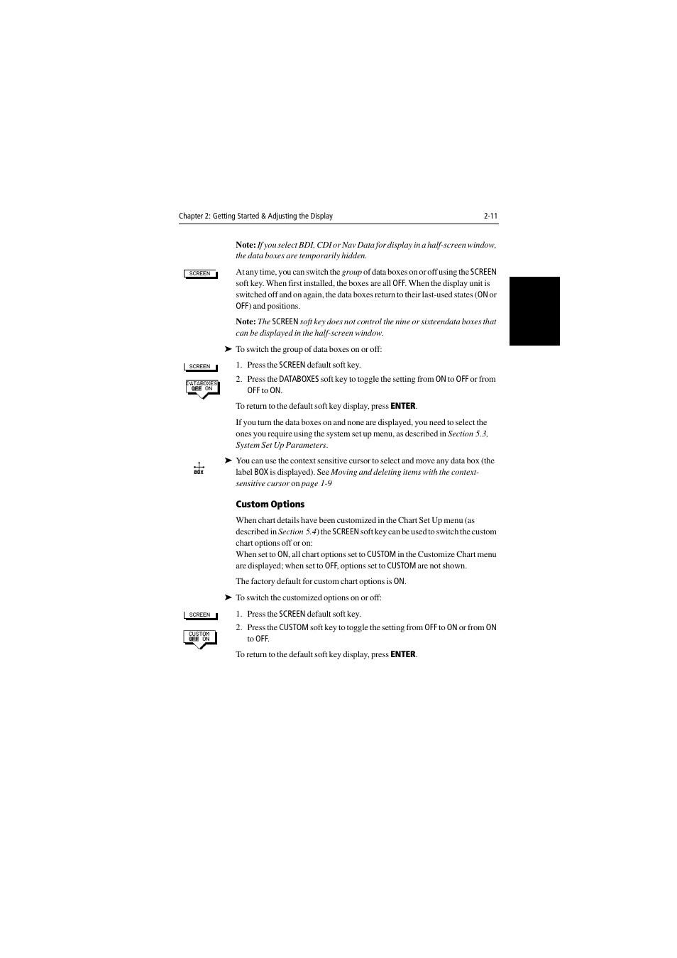 Custom options | Raymarine 530 User Manual | Page 35 / 170