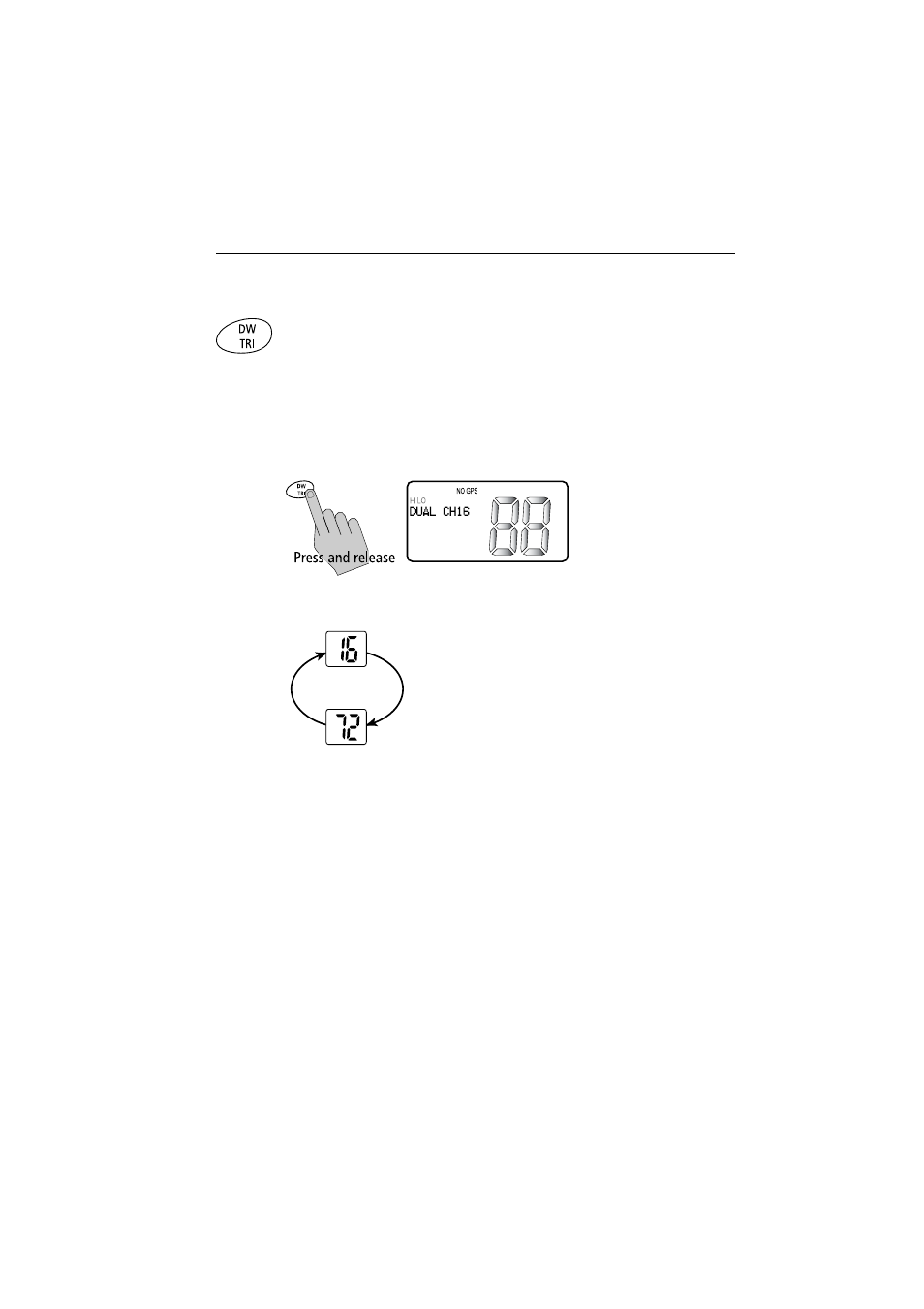 12 using the monitor modes, Dual watch | Raymarine Ray54E User Manual | Page 37 / 116