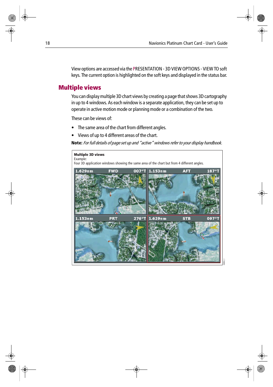 Multiple views | Raymarine Platinum Chart Card User Manual | Page 22 / 29