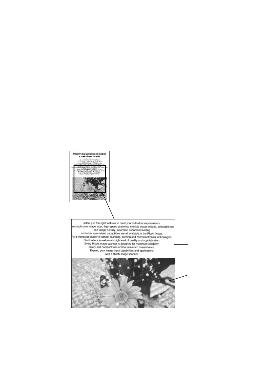 Auto photo/letter | Ricoh IS430 User Manual | Page 38 / 45
