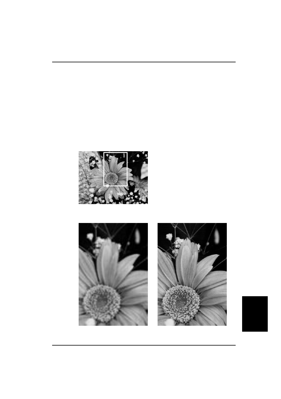 Resolution, Appendix | Ricoh IS430 User Manual | Page 39 / 45