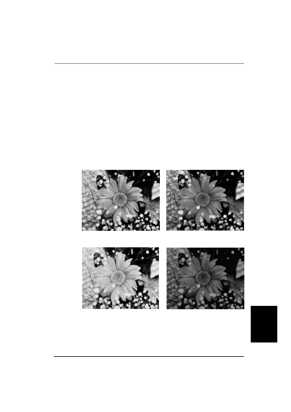 Gamma correction, Appendix | Ricoh IS430 User Manual | Page 41 / 45