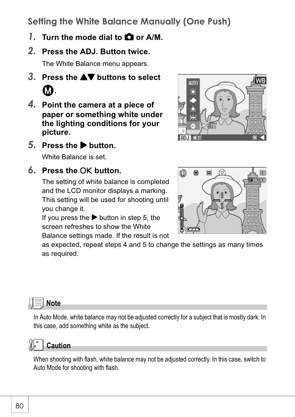 Setting the white balance manually (one push) | Ricoh Caplio GX8 User Manual | Page 83 / 180