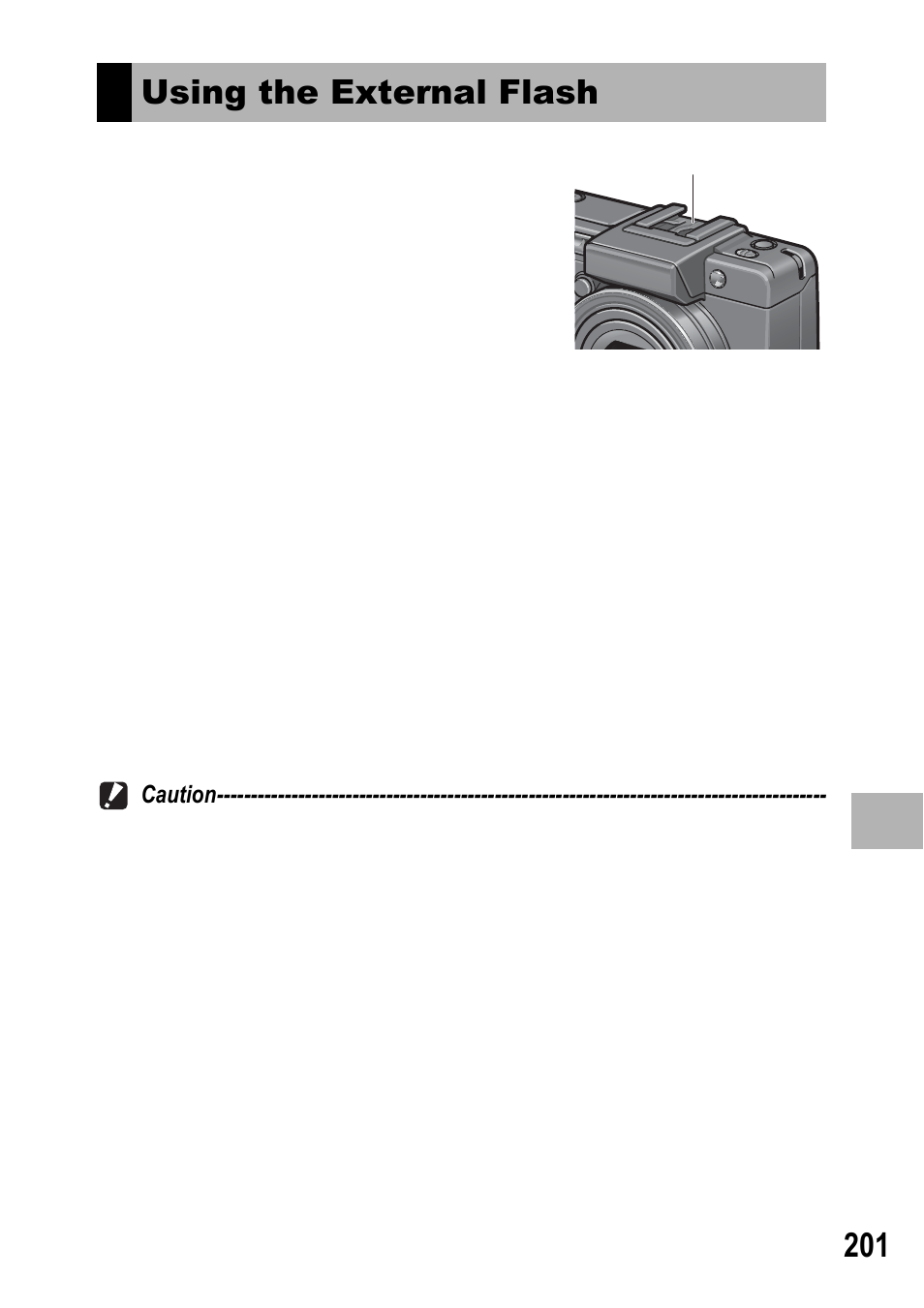 Using the external flash | Ricoh GX100 VF User Manual | Page 203 / 218
