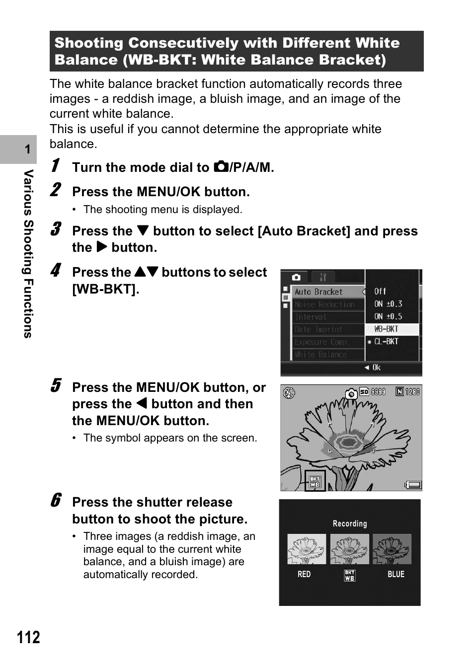 Ricoh GR Digital II User Manual | Page 114 / 242