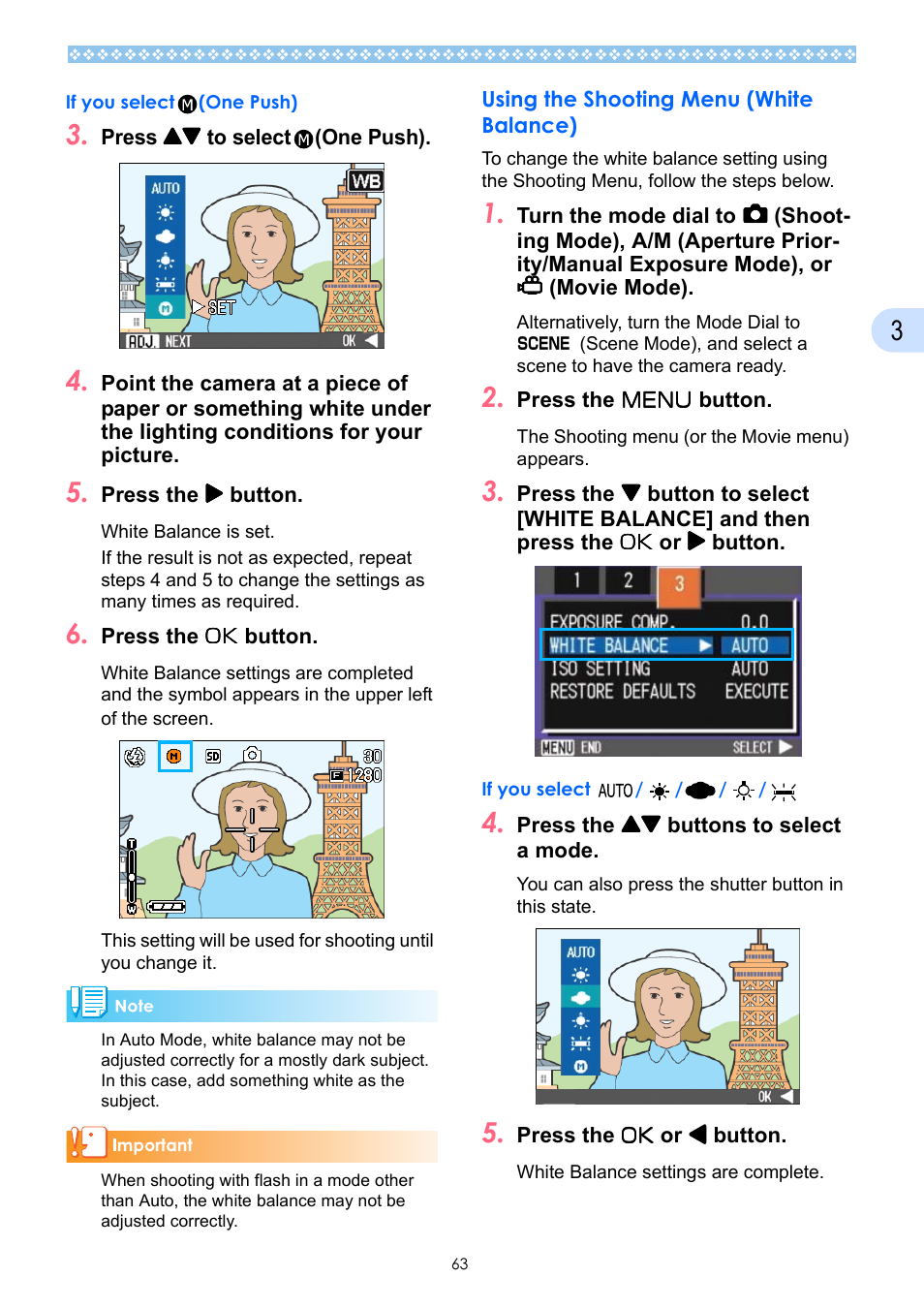 Using the shooting menu (white balance) | Ricoh Caplio GX User Manual | Page 63 / 194