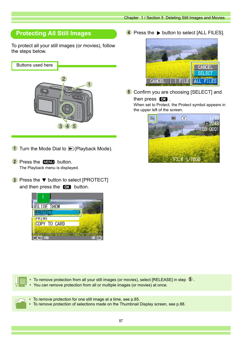 Protecting all still images | Ricoh Caplio RR30 User Manual | Page 87 / 156