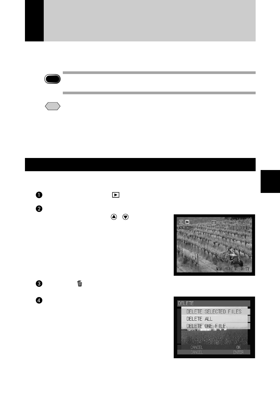 Deleting a file, Deleting a selected file | Ricoh CAMERA RDC-i500 User Manual | Page 105 / 154