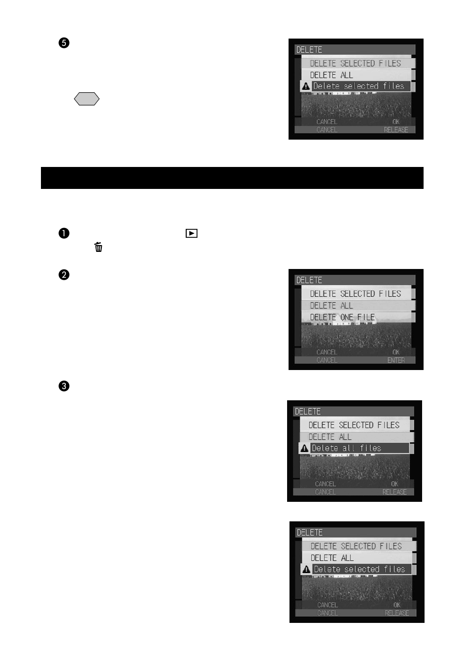 Deleting all files or a single file | Ricoh CAMERA RDC-i500 User Manual | Page 106 / 154