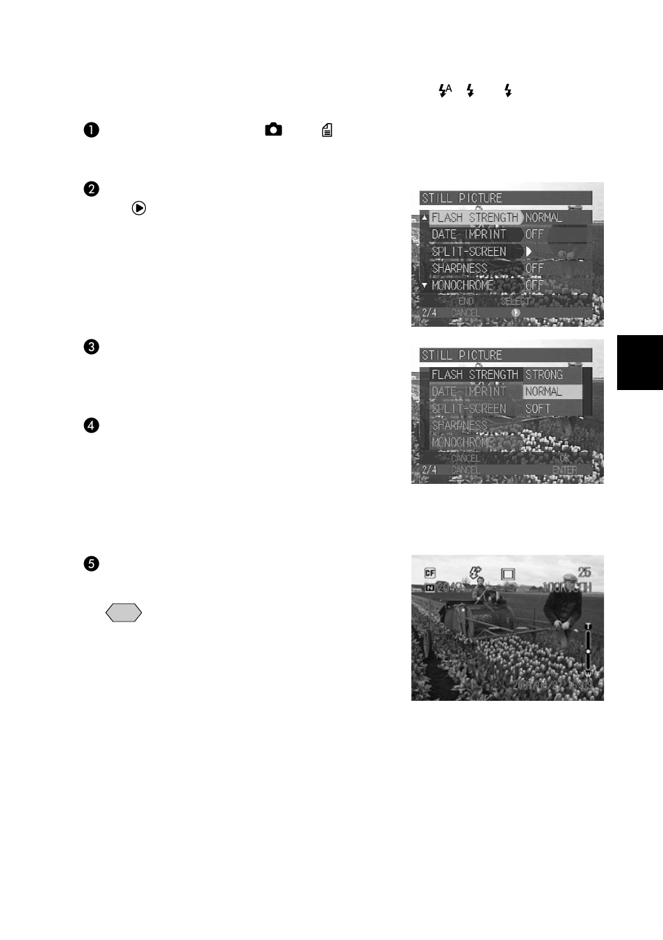 Adjusting the flash strength | Ricoh CAMERA RDC-i500 User Manual | Page 59 / 154