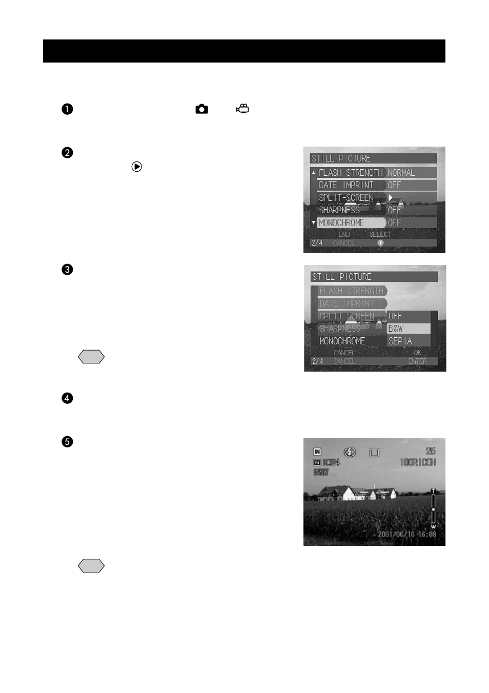 Shooting in monochrome mode (monochrome) | Ricoh CAMERA RDC-i500 User Manual | Page 74 / 154