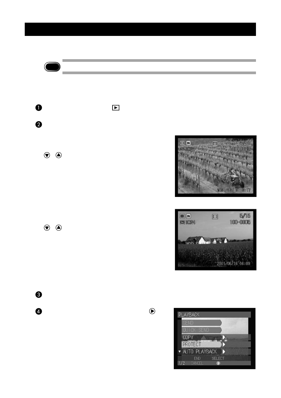 Protecting a file (protect), Protecting file | Ricoh CAMERA RDC-i500 User Manual | Page 94 / 154