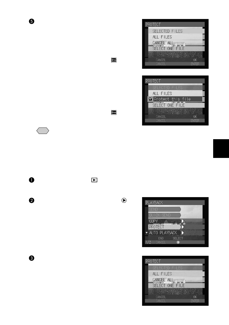 Protecting all files | Ricoh CAMERA RDC-i500 User Manual | Page 95 / 154