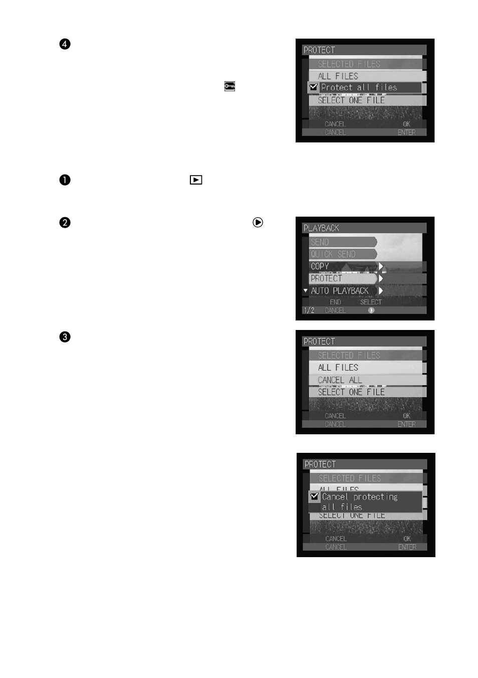 Canceling the protect setting | Ricoh CAMERA RDC-i500 User Manual | Page 96 / 154